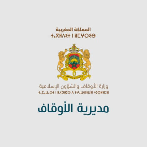 البرنامج الاستثماري التوقعي السنوي 2025