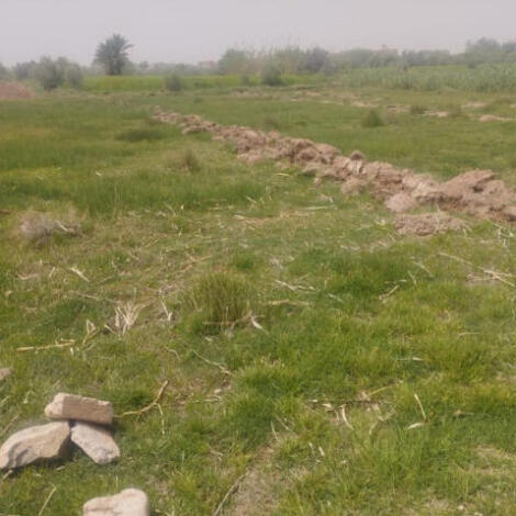 إجراء سمسرات عمومية علنية لكراء الاملاك الفلاحية الحبسية المتبقية بدون كراء (المازوزي)