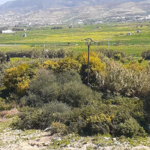 إجراء سمسرة عمومية علنية لكراء الأراضي الفلاحية الحبسية المشمولة بمشروع التجهيز الهيدروفلاحي