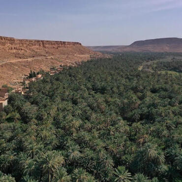 إجراء سمسرة عمومية علنية ، لكراء الأراضي الفلاحية الحبسية وبيع غلة الحطب عن الموسم الفلاحي 2026/2025 بنيابة أوفوس