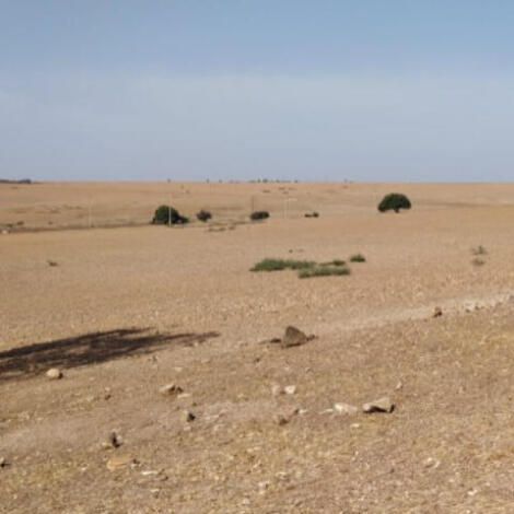 إجراء سمسرة عمومية علنية لكراء القطعة الحبسية سيدي عبد القادر انجاز مشروع استثماري فلاحي