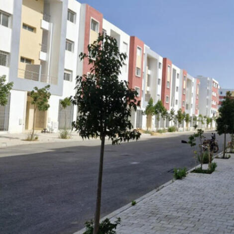 إجراء سمسرة عمومية علنية لكراء الأملاك الحبسية ب طنجة