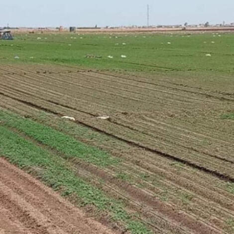 إجراء سمسرة عمومية علنية لكراء أملاك حبسية بتازة