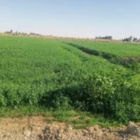 إجراء سمسرة عمومية علنية لكراء أملاك حبسية  بتازة