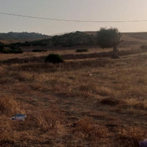 إجراء سمسرة عمومية علنية لكراء القطعة الحبسية المسماة " نغور الديب"