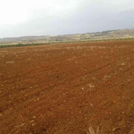 إجراء سمسرة عمومية علنية لإعادة كراء قطعة حبسية على أساس الإستغلال الفلاحي  لمدة (06) ست سنوات غير قابلة للتجديد لموسم 2025/2026