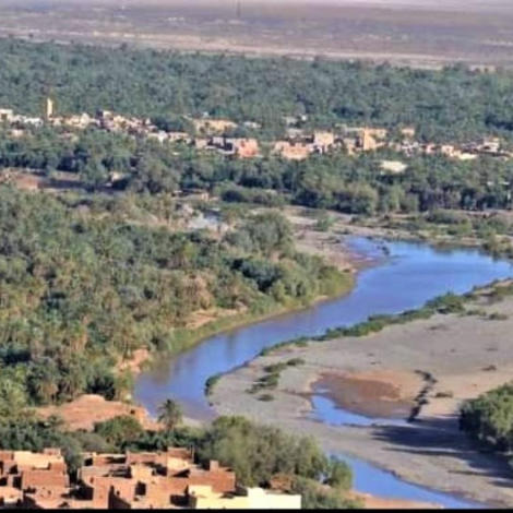 إجراء سمسرة عمومية علنية ، لبيع غلتي الزيتون و الحطب و كراء ما تبقى من الأراضي الفلاحية الحبسية عن الموسم الفلاحي 2025/2026