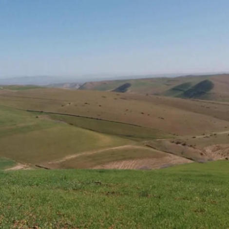 إجراء سمسرة عمومية علنية في إطار المراجعة لكراء الأملاك الحبسية الفلاحية للبكري و بيع الغلل المتبقية ، برسم الموسم الفلاحي 2025 /2026