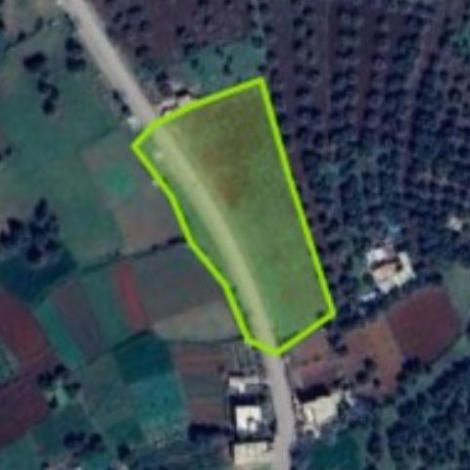 إعلان عن طلب عروض مفتوح رقم 01/NHS/2025 لكراء قطعة " بلاد طرح الحمراء " للاستغلال الفلاحي أو الاستغلال غير الفلاحي