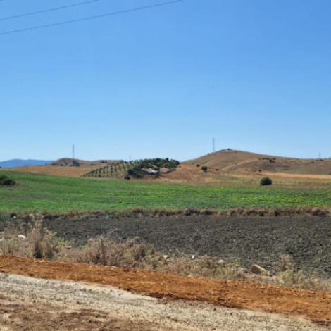 إجراء سمسرة عمومية علنية في إطار المراجعة لكراء الأملاك الحبسية الفلاحية للبكري وبيع الغلل المتبقية ، برسم الموسم الفلاحي َ2025/2026