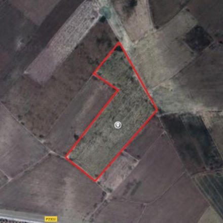 سمسرة عمومية لكراء الأراضي الحبسية المتبقية وبيع غلة الرطم التابعة لأحباس آسفي عن الموسم الفلاحي: 2026/2025