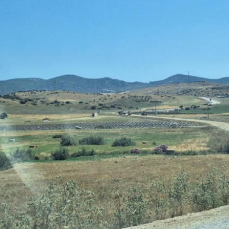 إجراء سمسرة عمومية علنية في إطار المراجعة لكراء الأملاك الحبسية الفلاحية للبكري وبيع الغلل المتبقية , برسم الموسم الفلاحي 2026/2025