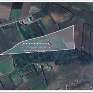 إعلان عن إجراء سمسرة عمومية لكراء قطع أرضية فلاحية حبسية