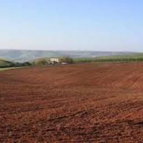 إجراء سمسرة عمومية علنية لكراء مجموعة من القطع الحبسية للاستثمار الفلاحي للأمد المتوسط