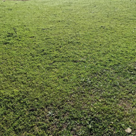 اجراء سمسرة عمومية علنية لكراء الأراضي المتبقية للمزوزي عن الموسم الفلاحي 2026/2025