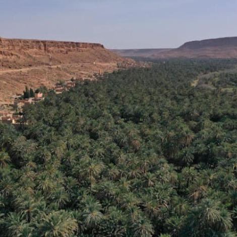 إجراء سمسرة عمومية علنية لكراء قطعة حبسية كائنة بالقصبة السفلانية بقصر الجديد باوفوس على أساس الاستغلال الفلاحي