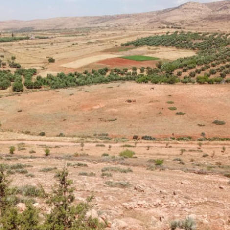 إجراء سمسرة عمومية علنية لكراء أملاك حبسية للأمد الطويل عشر سنوات قابلة للتجديد
