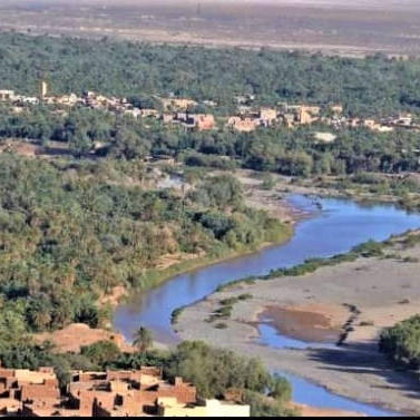 إجراء سمسرة عمومية علنية، لبيع غلتي التمر والحطب وكراء ما تبقى من الأراضي الفلاحية