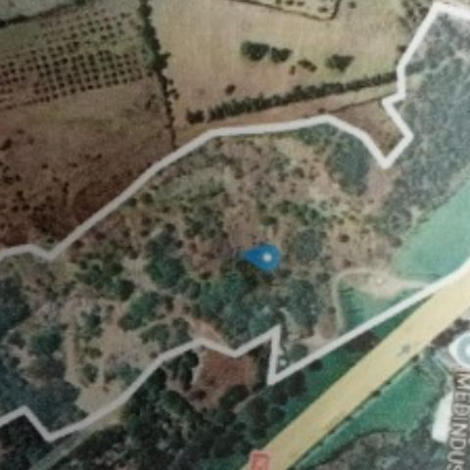إعلان عن طلب عروض مفتوح رقم L1/26 لكراء جزء من قطعة "عين مشلاوة" للاستغلال غير الفلاحي على أساس الاستثمار